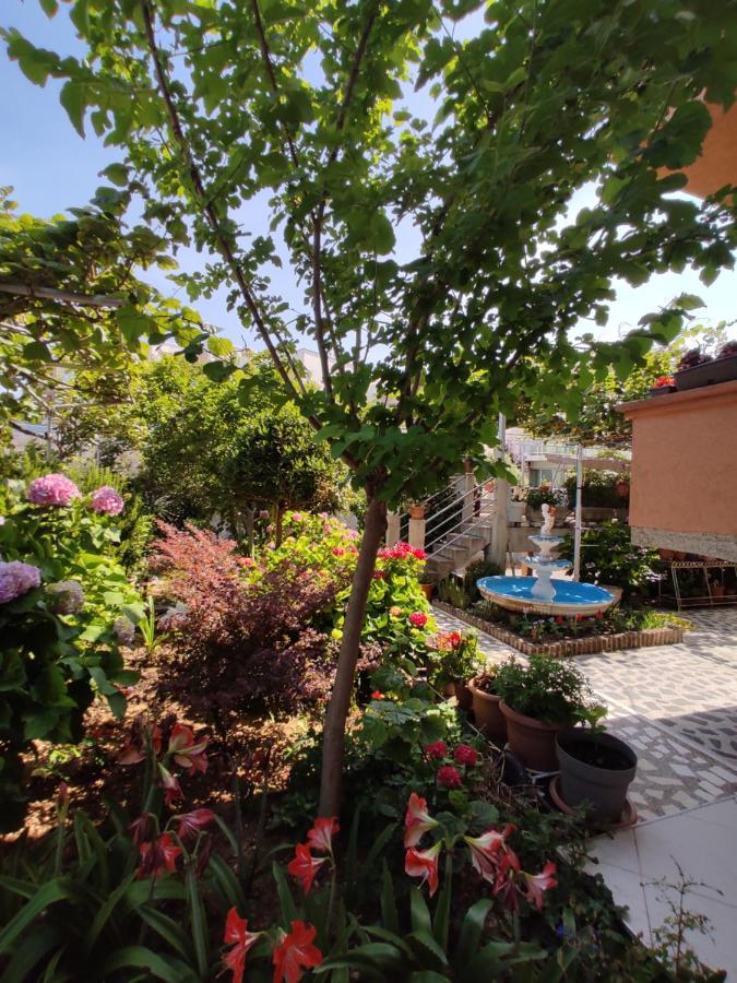 Apartments Baja Ulcinj Exteriör bild